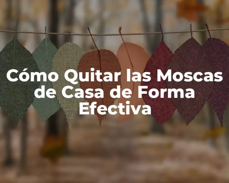 Cómo Quitar las Moscas de Casa de Forma Efectiva