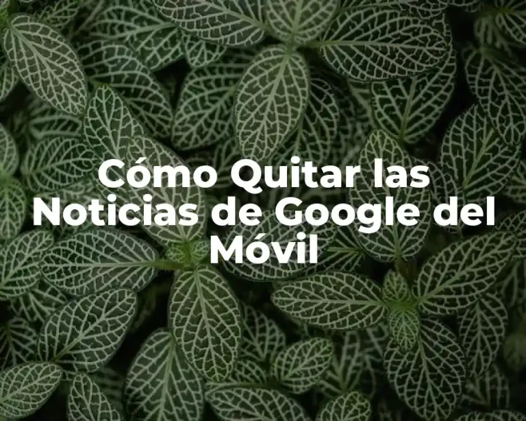 Cómo Quitar las Noticias de Google del Móvil