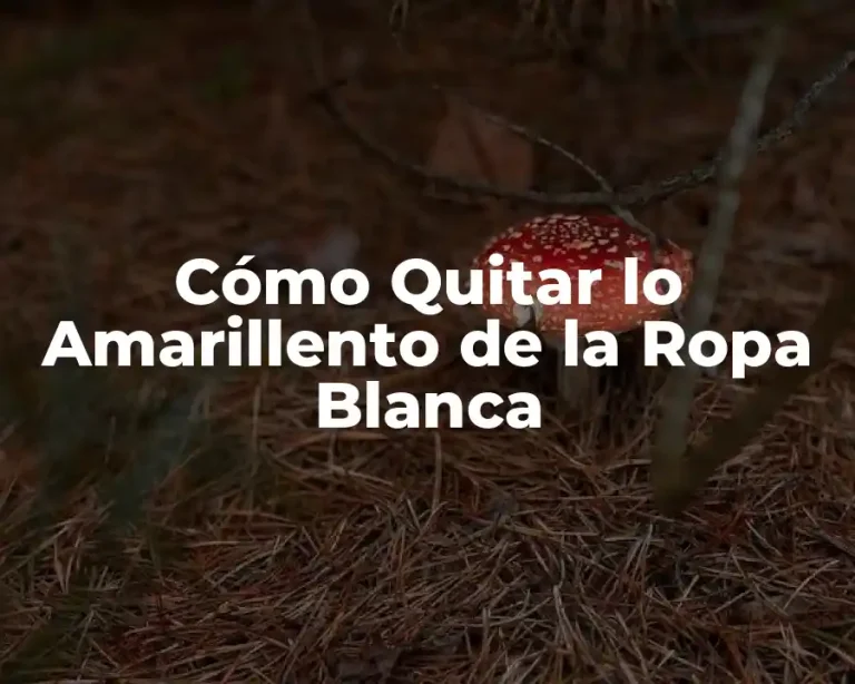 Cómo Quitar lo Amarillento de la Ropa Blanca