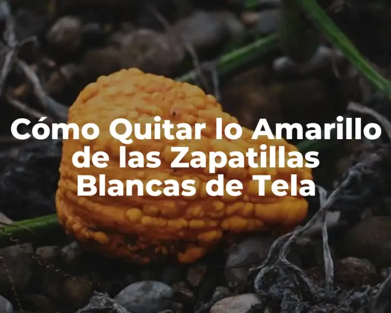 Cómo Quitar lo Amarillo de las Zapatillas Blancas de Tela