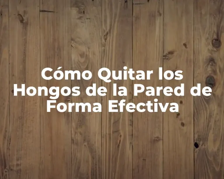 Cómo Quitar los Hongos de la Pared de Forma Efectiva