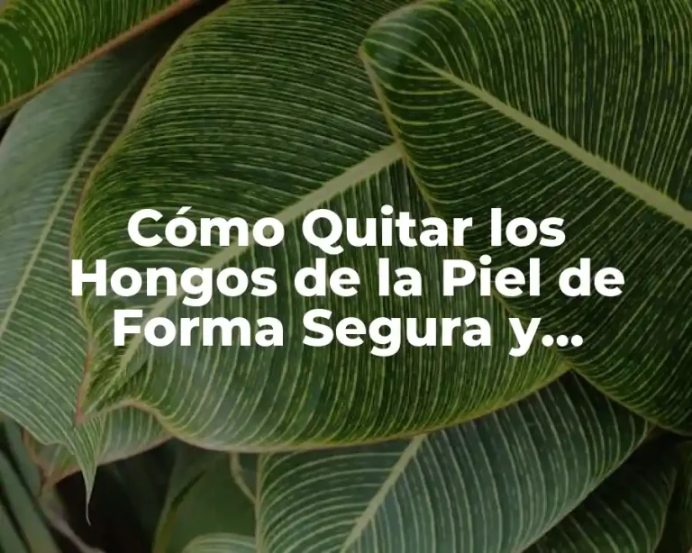 Cómo Quitar los Hongos de la Piel de Forma Segura y Efectiva