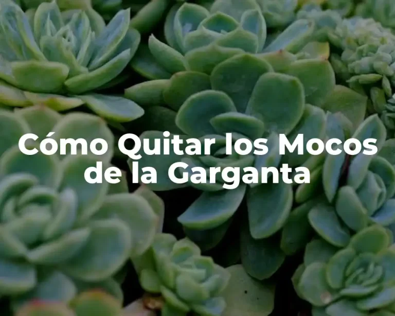 Cómo Quitar los Mocos de la Garganta