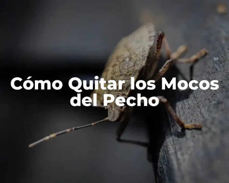 Cómo Quitar los Mocos del Pecho