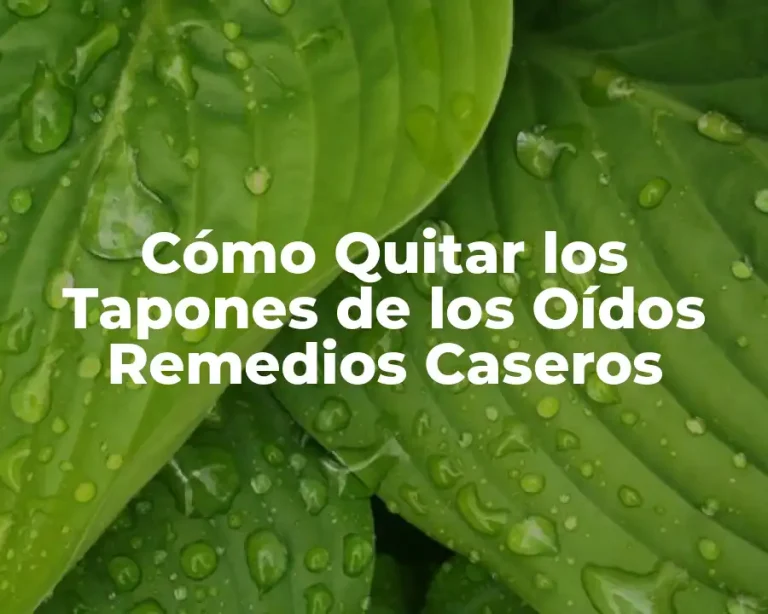 Cómo Quitar los Tapones de los Oídos Remedios Caseros