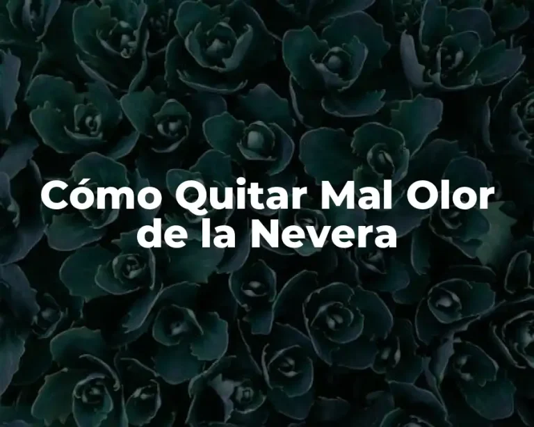 Cómo Quitar Mal Olor de la Nevera