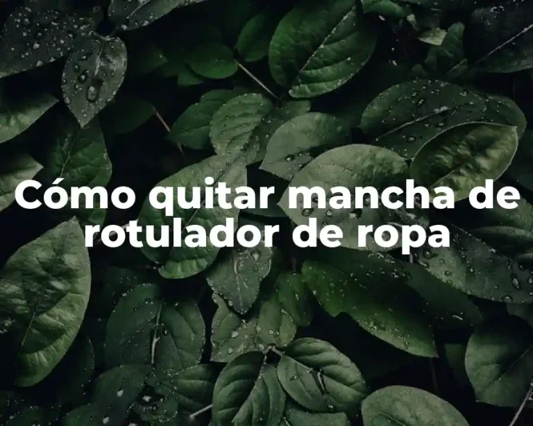 Cómo quitar mancha de rotulador de ropa