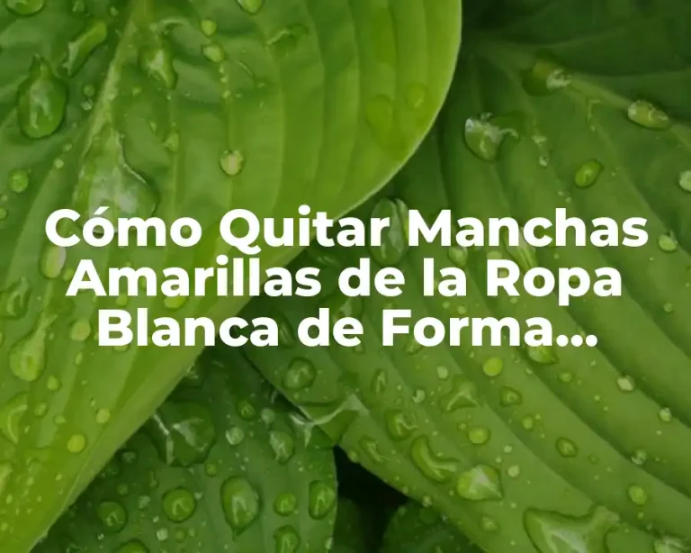 Cómo Quitar Manchas Amarillas de la Ropa Blanca de Forma Efectiva