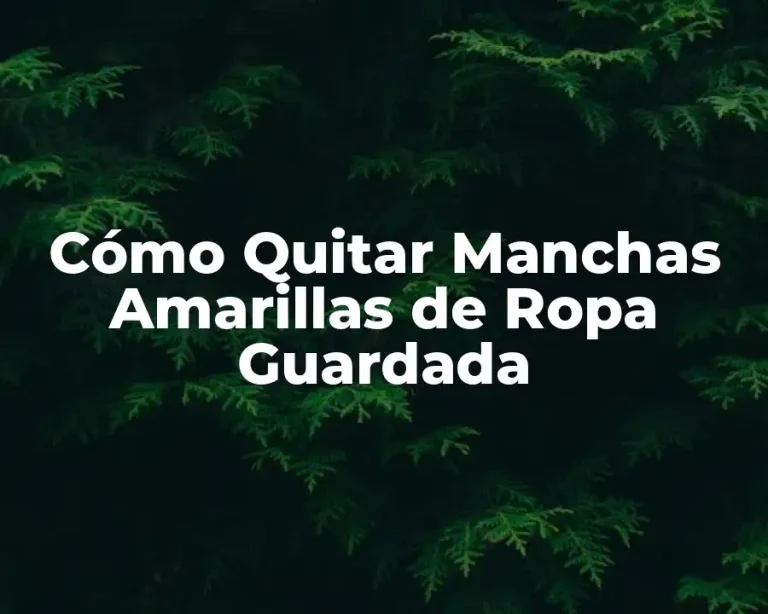 Cómo Quitar Manchas Amarillas de Ropa Guardada