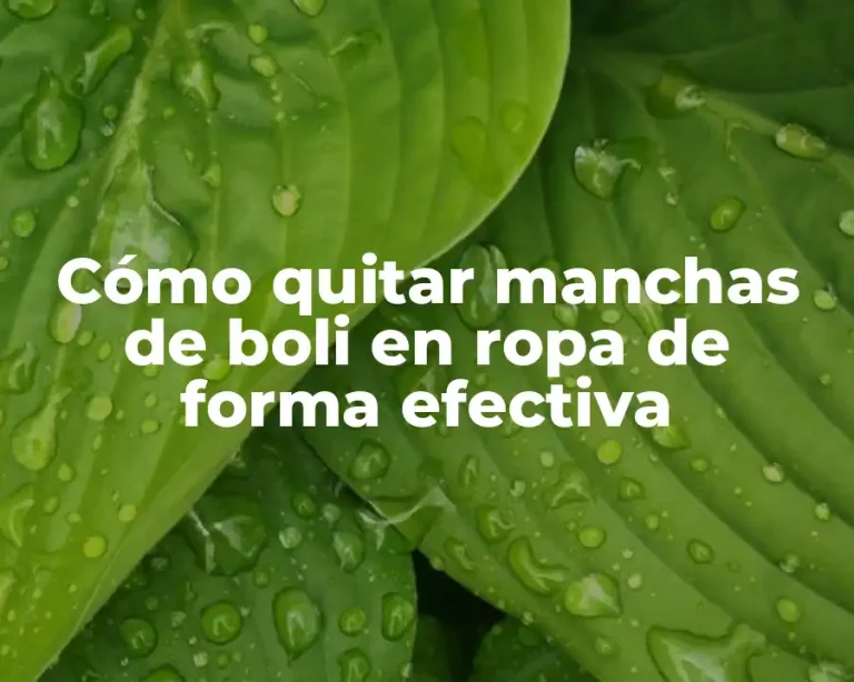 Cómo quitar manchas de boli en ropa de forma efectiva