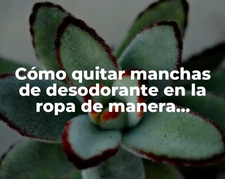 Cómo quitar manchas de desodorante en la ropa de manera efectiva