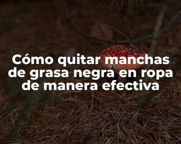 Cómo quitar manchas de grasa negra en ropa de manera efectiva