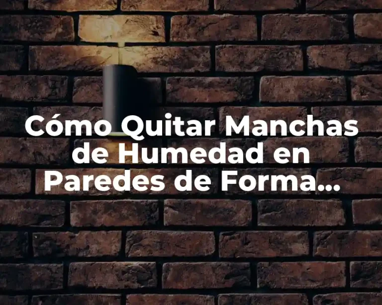 Cómo Quitar Manchas de Humedad en Paredes de Forma Efectiva