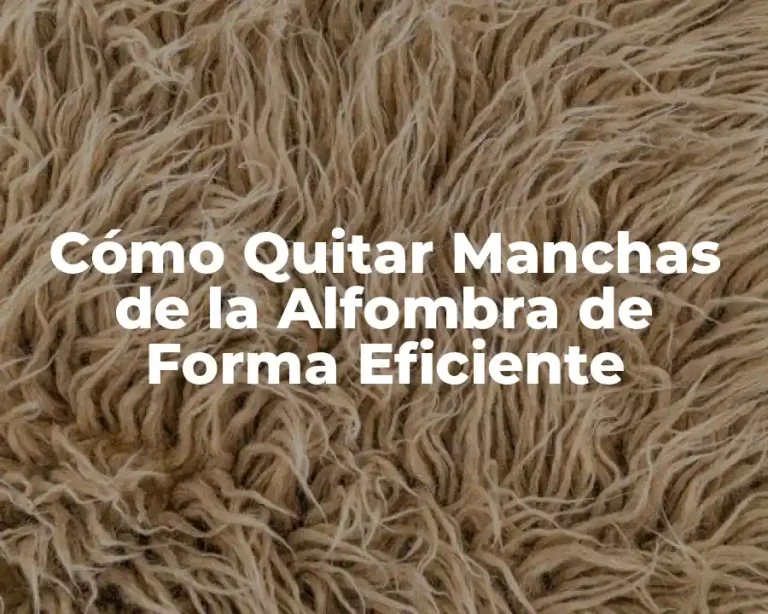 Cómo Quitar Manchas de la Alfombra de Forma Eficiente