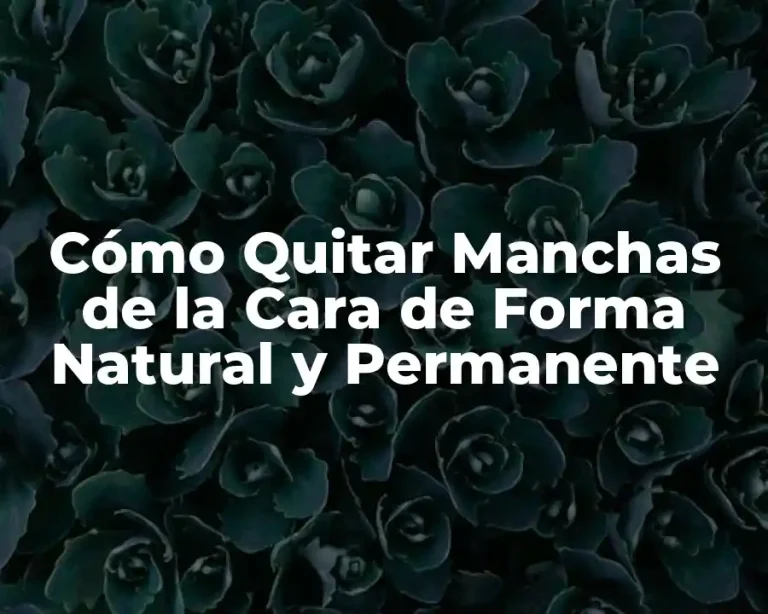 Cómo Quitar Manchas de la Cara de Forma Natural y Permanente