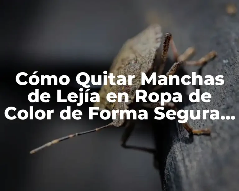Cómo Quitar Manchas de Lejía en Ropa de Color de Forma Segura y Efectiva