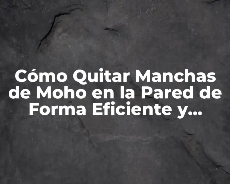 Cómo Quitar Manchas de Moho en la Pared de Forma Eficiente y Segura