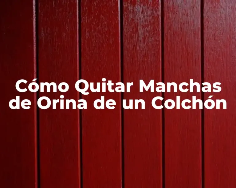 Cómo Quitar Manchas de Orina de un Colchón