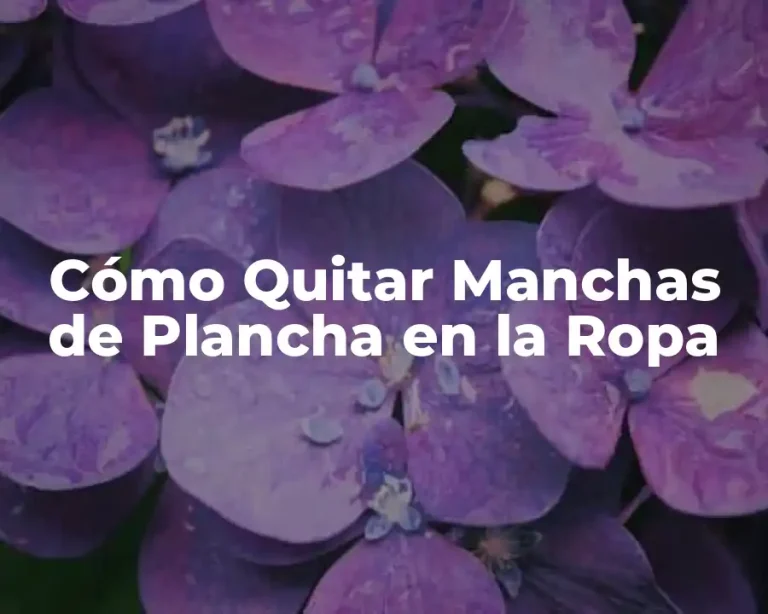 Cómo Quitar Manchas de Plancha en la Ropa