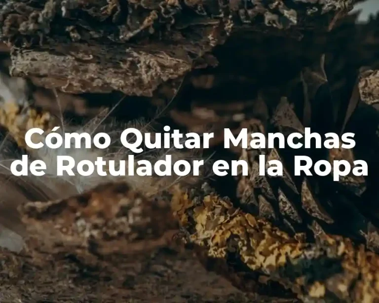 Cómo Quitar Manchas de Rotulador en la Ropa