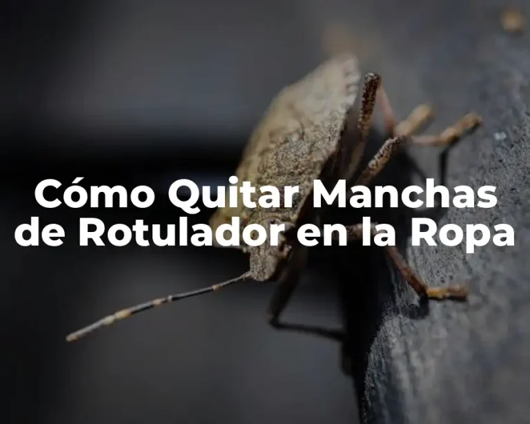Cómo Quitar Manchas de Rotulador en la Ropa