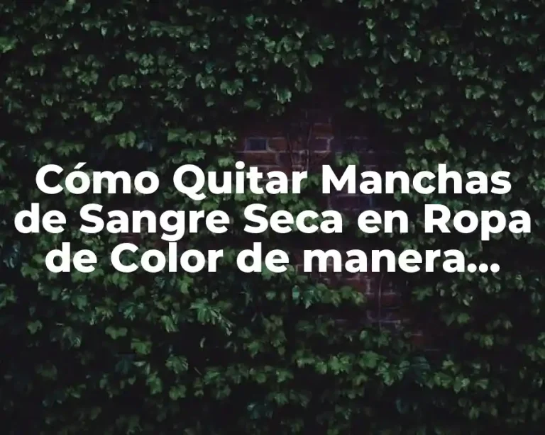 Cómo Quitar Manchas de Sangre Seca en Ropa de Color de manera efectiva