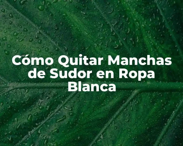 Cómo Quitar Manchas de Sudor en Ropa Blanca