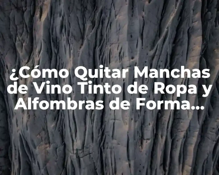 ¿Cómo Quitar Manchas de Vino Tinto de Ropa y Alfombras de Forma Eficiente?