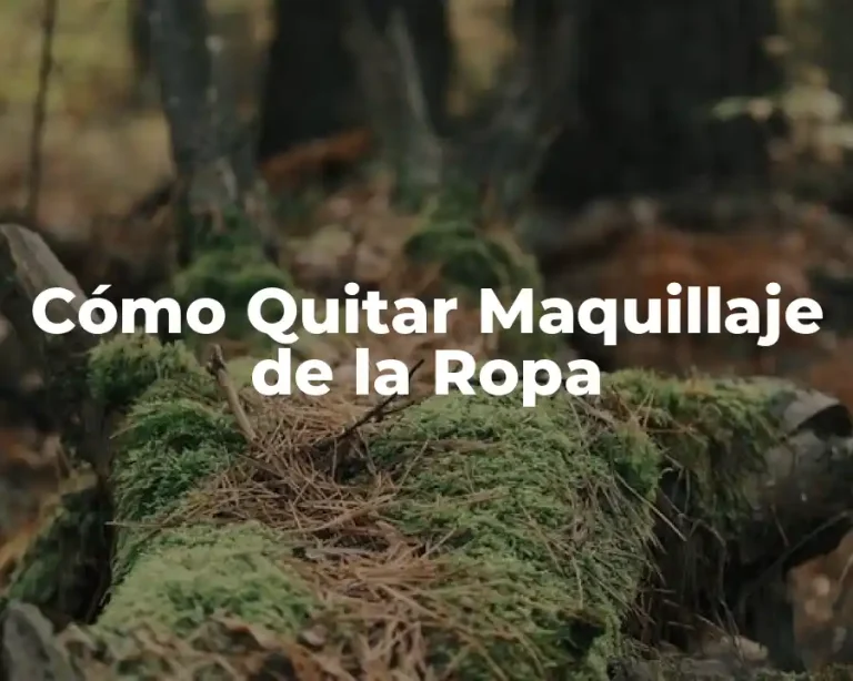 Cómo Quitar Maquillaje de la Ropa