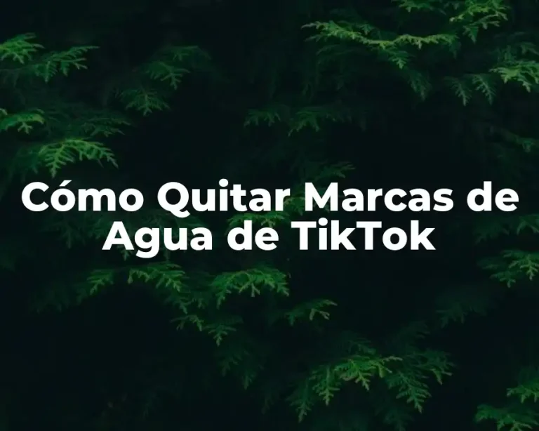 Cómo Quitar Marcas de Agua de TikTok