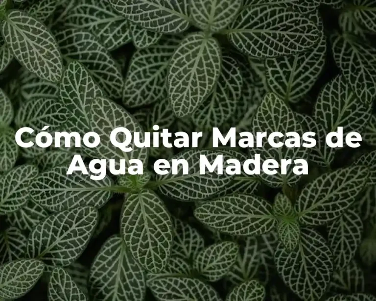 Cómo Quitar Marcas de Agua en Madera