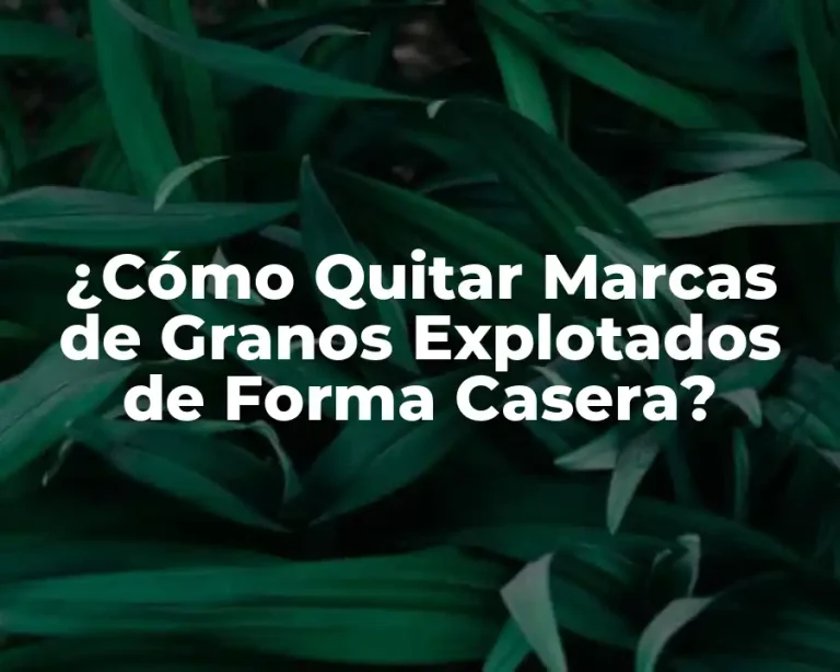 ¿Cómo Quitar Marcas de Granos Explotados de Forma Casera?