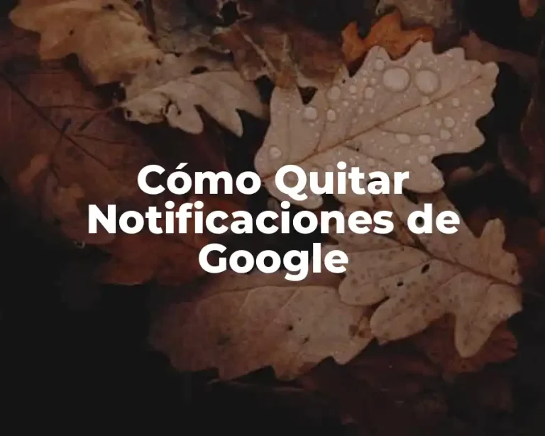 Cómo Quitar Notificaciones de Google
