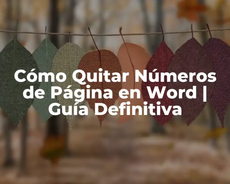 Cómo Quitar Números de Página en Word | Guía Definitiva