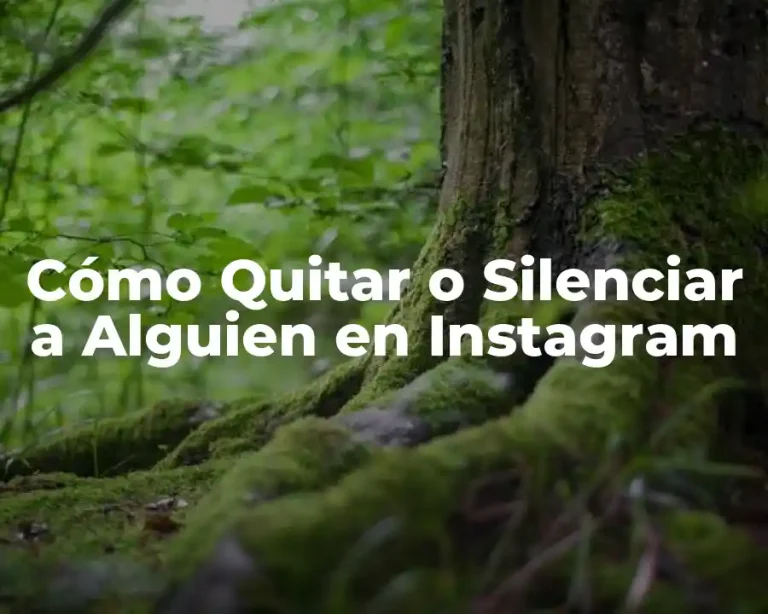Cómo Quitar o Silenciar a Alguien en Instagram