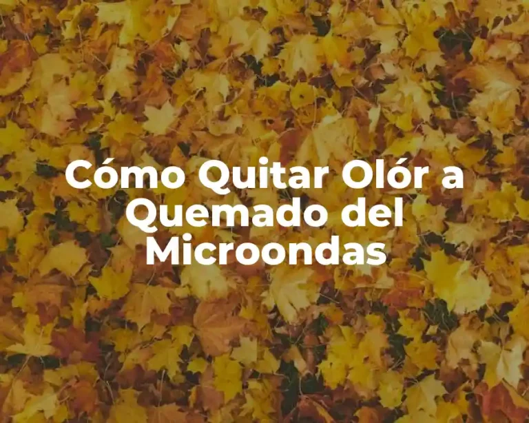 Cómo Quitar Olór a Quemado del Microondas