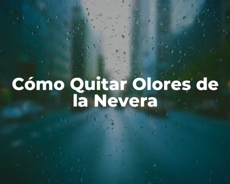 Cómo Quitar Olores de la Nevera
