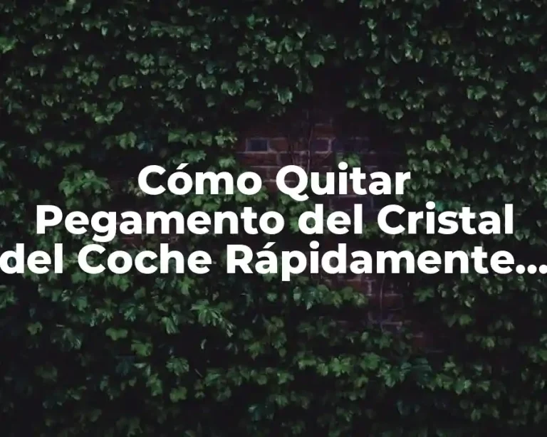 Cómo Quitar Pegamento del Cristal del Coche Rápidamente y Sin Dañar