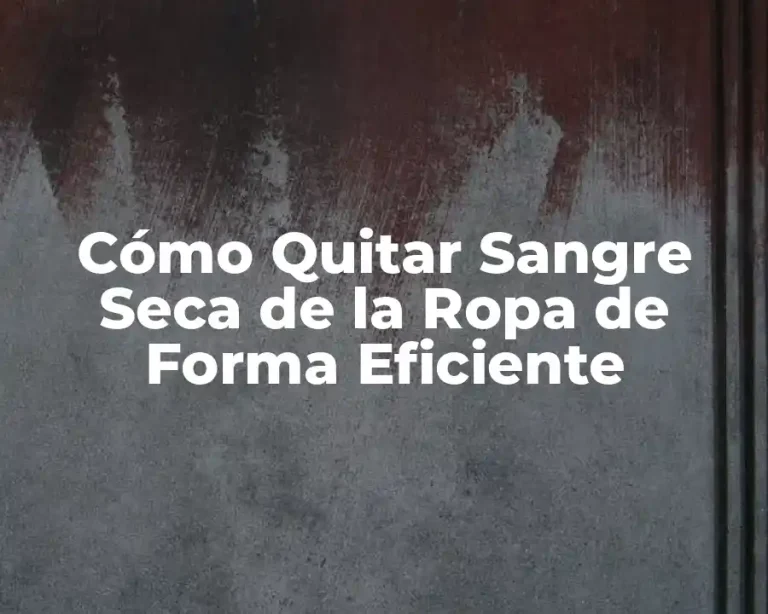 Cómo Quitar Sangre Seca de la Ropa de Forma Eficiente
