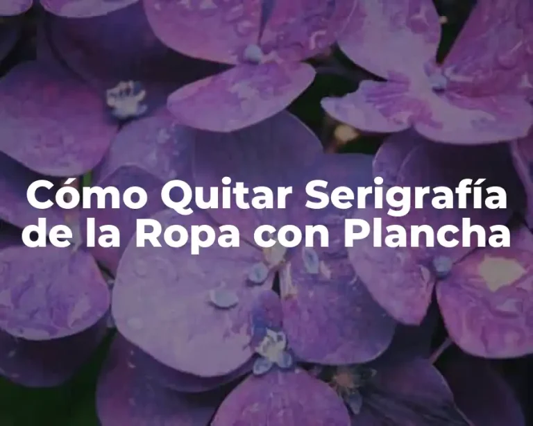 Cómo Quitar Serigrafía de la Ropa con Plancha