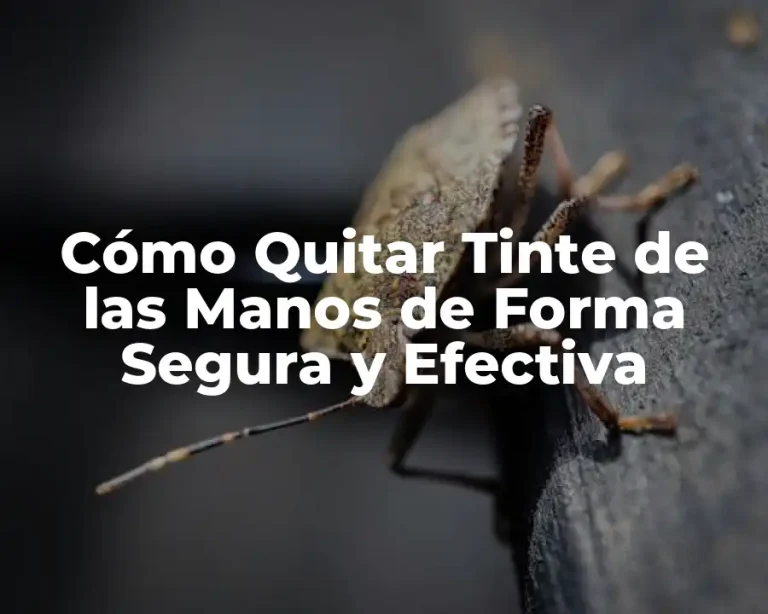 Cómo Quitar Tinte de las Manos de Forma Segura y Efectiva