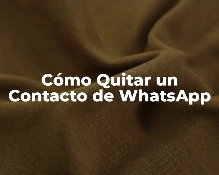 Cómo Quitar un Contacto de WhatsApp