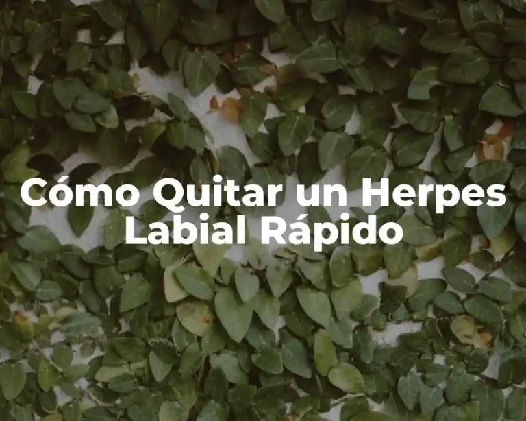 Cómo Quitar un Herpes Labial Rápido