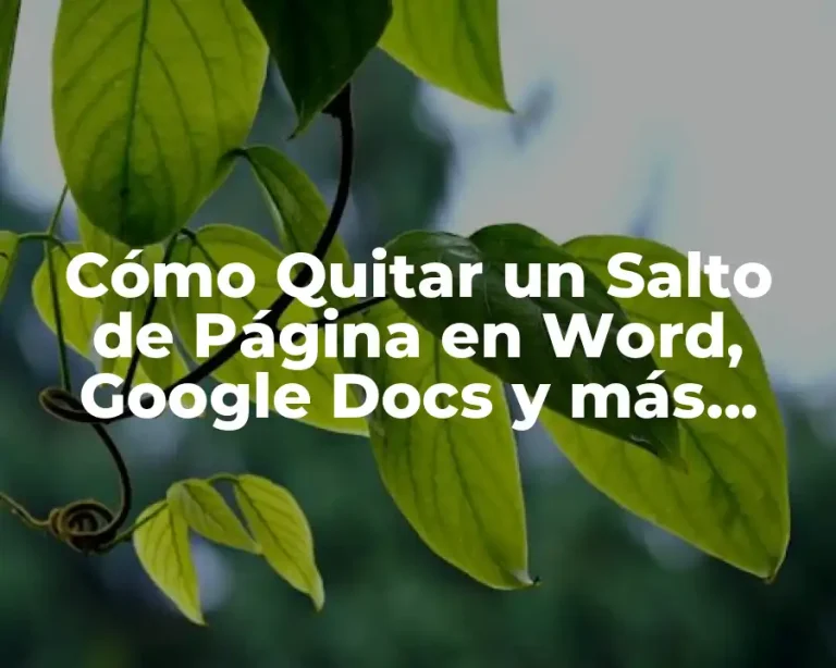 Cómo Quitar un Salto de Página en Word, Google Docs y más (Guide Ultimate)