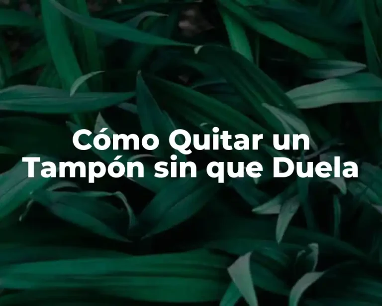 Cómo Quitar un Tampón sin que Duela