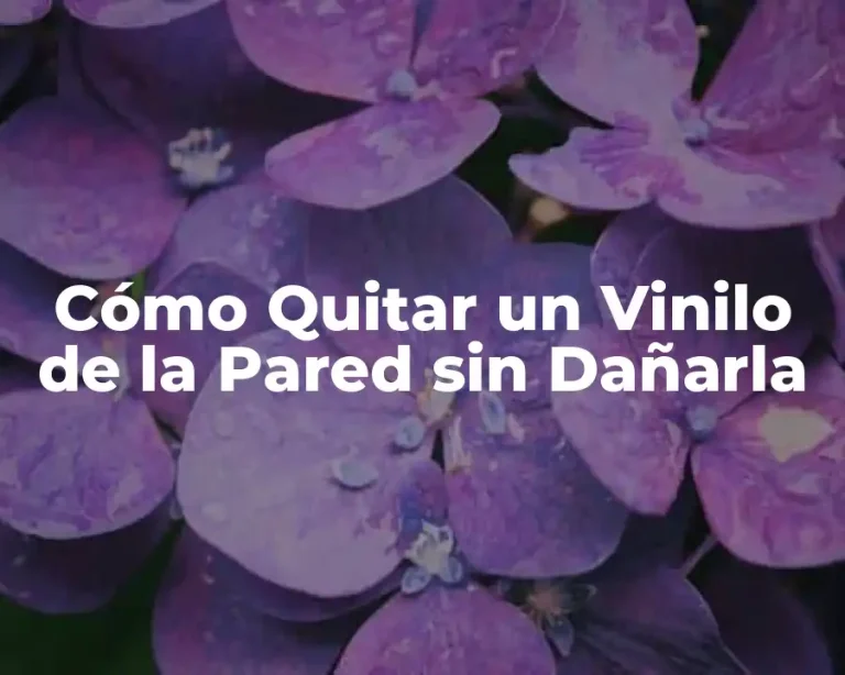 Cómo Quitar un Vinilo de la Pared sin Dañarla