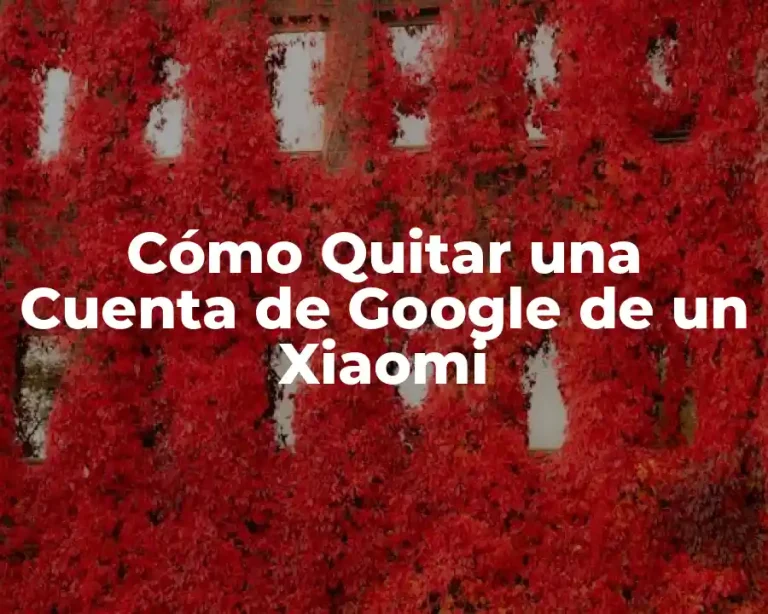 Cómo Quitar una Cuenta de Google de un Xiaomi