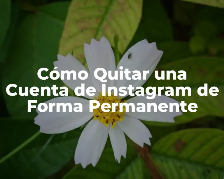 Cómo Quitar una Cuenta de Instagram de Forma Permanente