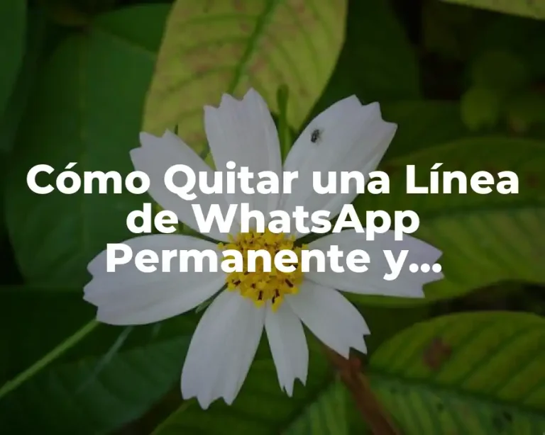 Cómo Quitar una Línea de WhatsApp Permanente y Definitivamente