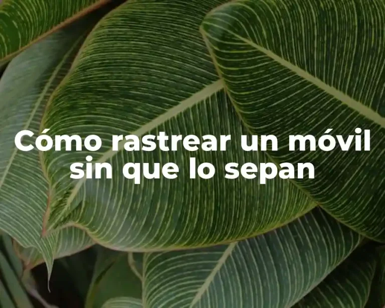 Cómo rastrear un móvil sin que lo sepan